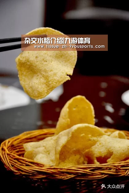 九游体育