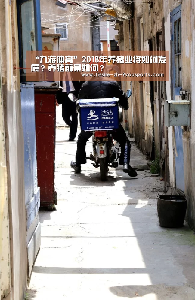“九游体育”2018年养猪业将如何发展?养猪前景如何?(图3) 九游体育