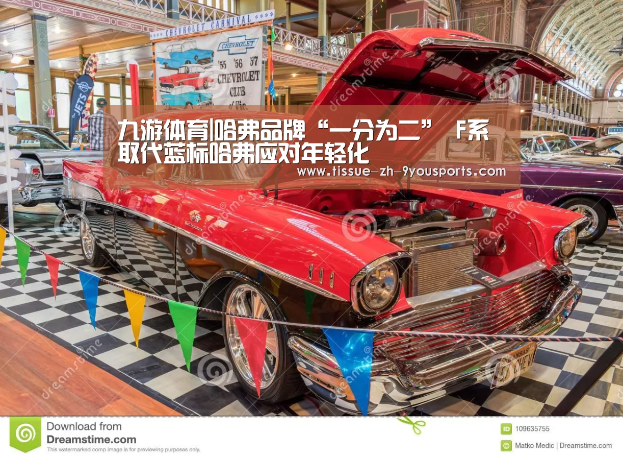 九游体育|哈弗品牌“一分为二” F系取代蓝标哈弗应对年轻化(图3) 九游体育