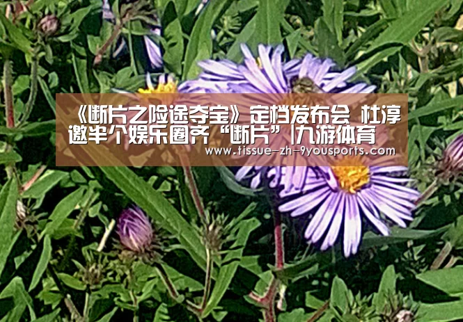 《断片之险途夺宝》定档发布会 杜淳邀半个娱乐圈齐“断片”|九游体育(图1) 九游体育