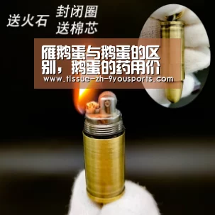 雁鹅蛋与鹅蛋的区别,鹅蛋的药用价值有哪些?_九游体育(图1) 九游体育