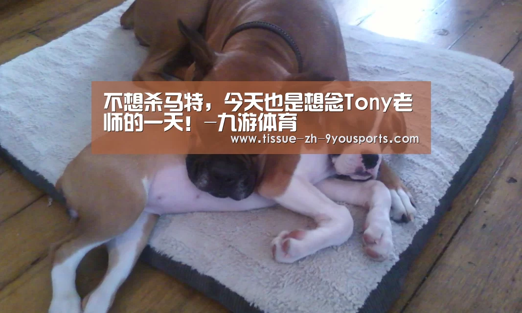 九游体育